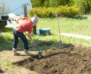 jennygardening