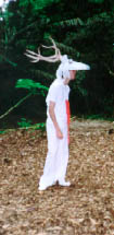 white stag