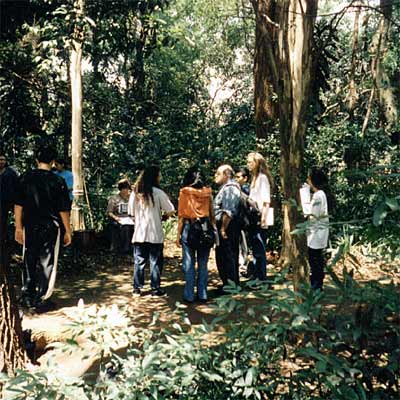 Rehearsal in the forest
