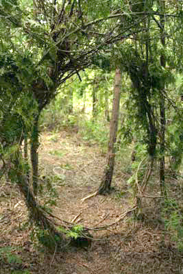 629.jpg - Round portal