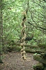 grassspiral