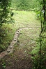 snakepath