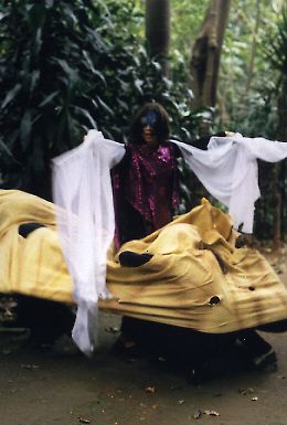 Shapeshifter emerges